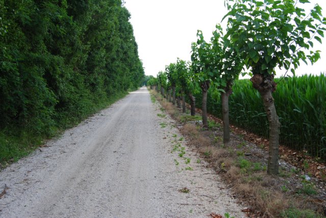 dsc_0015.jpg