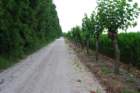 dsc_0015_small.jpg