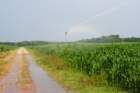dsc_0025_small.jpg