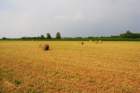 dsc_0028_small.jpg