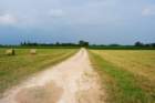 dsc_0030_small.jpg