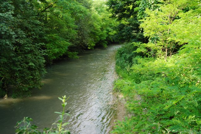 dsc_0032.jpg