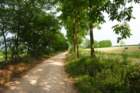 dsc_0036_small.jpg