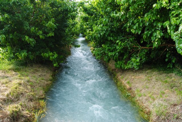 dsc_0043.jpg