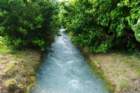 dsc_0043_small.jpg