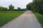 dsc_0056_small.jpg