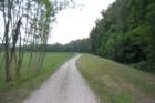 dsc_0063_small.jpg