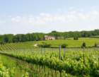 dsc08819_small.jpg