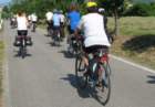 dsc08842a_small.jpg