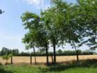 dsc08918d_small.jpg