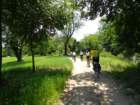 dsc08961_small.jpg
