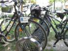 dsc08985_small.jpg