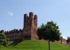 dsc08987_small.jpg