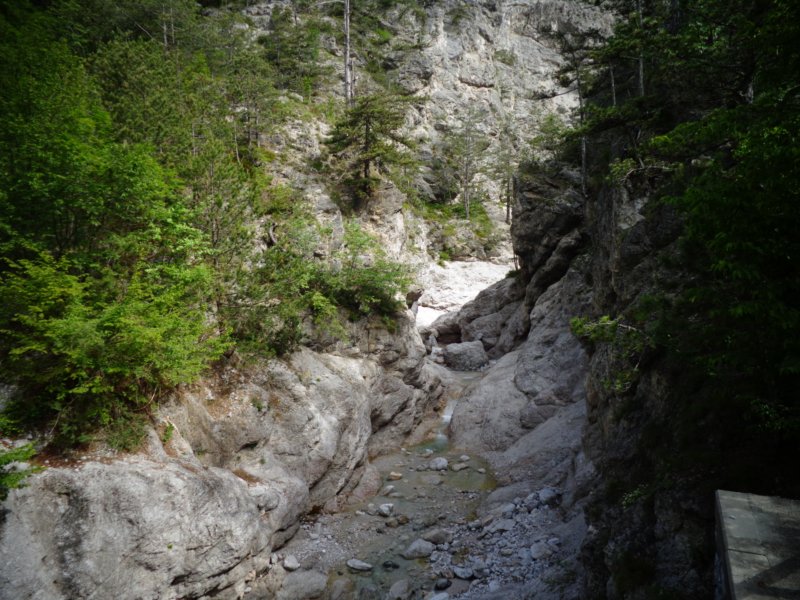 dsc06115.jpg