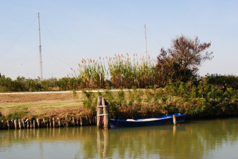 dsc_0295.jpg