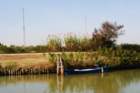 dsc_0295_small.jpg