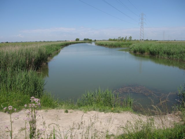 img_6439.jpg
