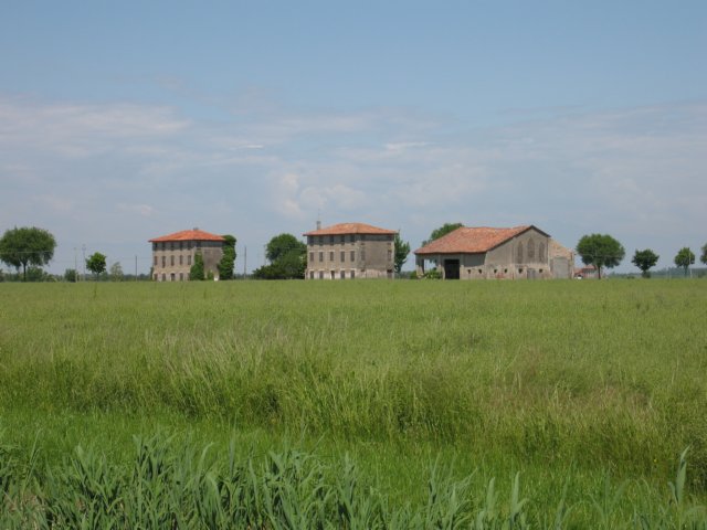 img_6442.jpg