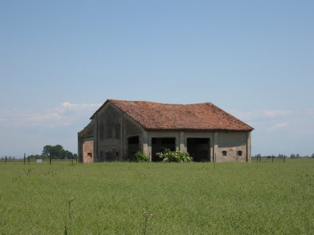 img_6443.jpg
