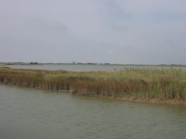 img_8963.jpg