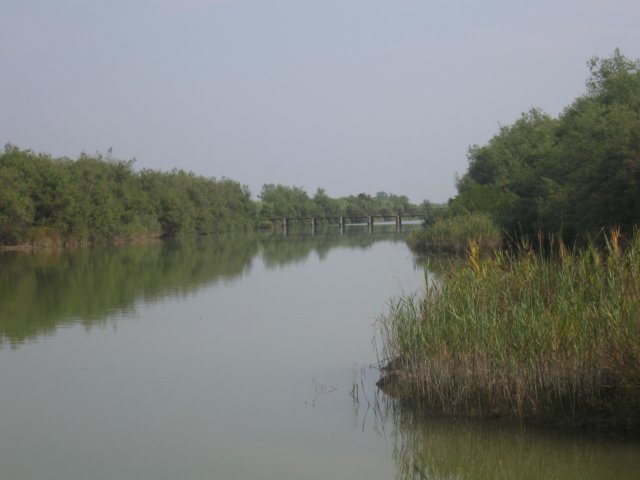 img_8967.jpg