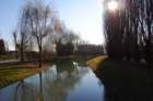 dsc_0367_small.jpg