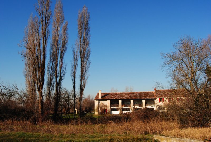 dsc_0380.jpg
