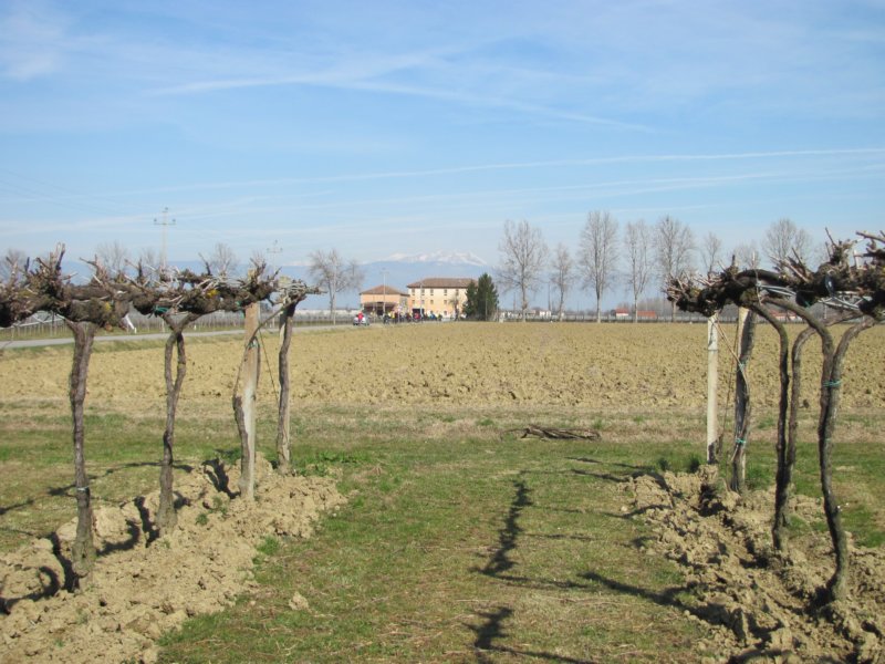 dsc04110c.jpg