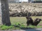 dsc04132e_small.jpg
