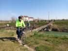 dsc04156_small.jpg