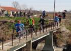 dsc041592_small.jpg