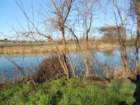 dscn1809_small.jpg