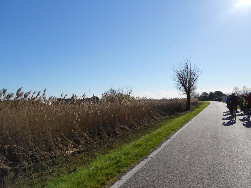 dscn1866.jpg