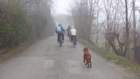 dsc03657_small.jpg