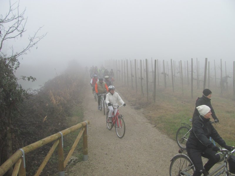 dsc03665d.jpg