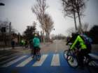 dsc00838_small.jpg