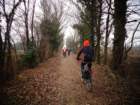 dsc00873_small.jpg