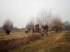 dsc00877_small.jpg