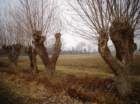 dsc00879_small.jpg