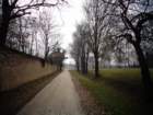 dsc00937_small.jpg