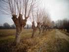 dsc00939_small.jpg