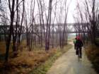 dsc00975_small.jpg