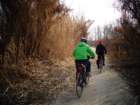 dsc00979_small.jpg