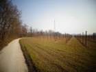 dsc00980_small.jpg