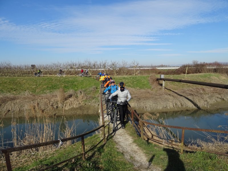 dsc09466.jpg