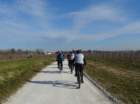 dsc094742_small.jpg