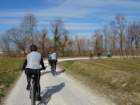 dsc09478_small.jpg