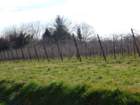 dsc09485_small.jpg