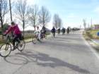 dsc09497_small.jpg
