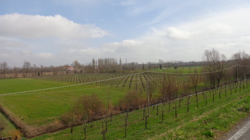 dsc03775.jpg